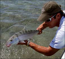 bonefish Fly Fishing Key West Florida