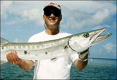 barracuda fly fishing key west